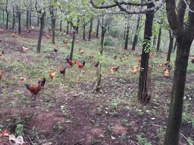 23儿科已出现流感与支原体交叉感染_流感病毒交叉感染_交叉感染主要来自