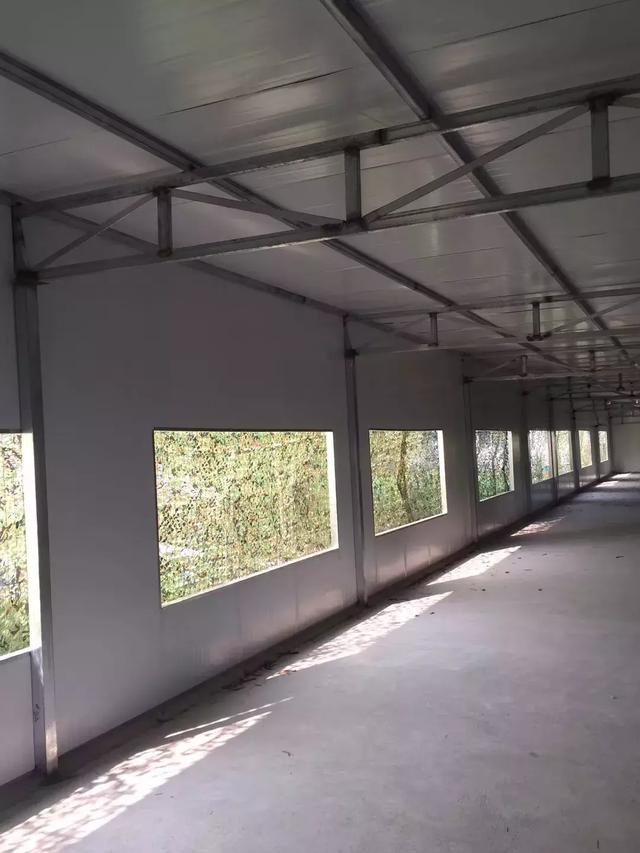 流感病毒交叉感染_交叉感染主要来自_23儿科已出现流感与支原体交叉感染