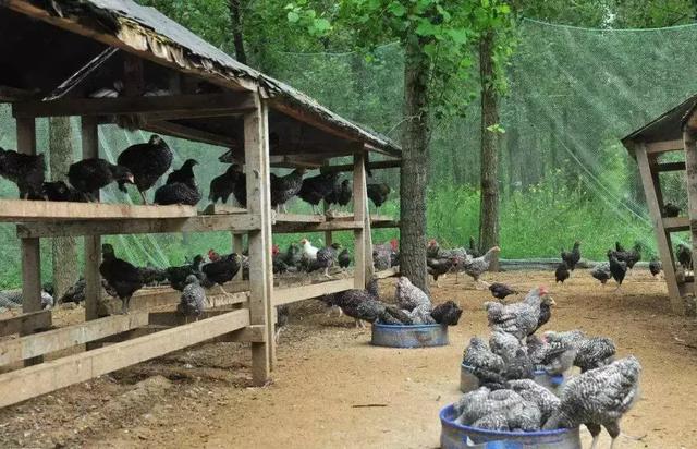 交叉感染主要来自_流感病毒交叉感染_23儿科已出现流感与支原体交叉感染