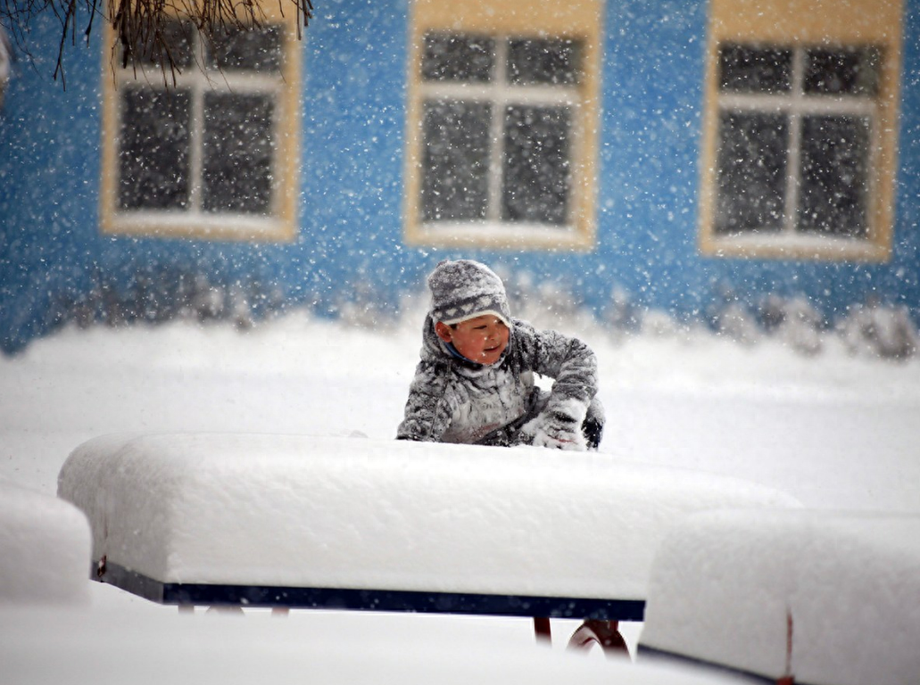 暴雪天，哈尔滨的人们展现出的东北人坚韧乐观走进人心
