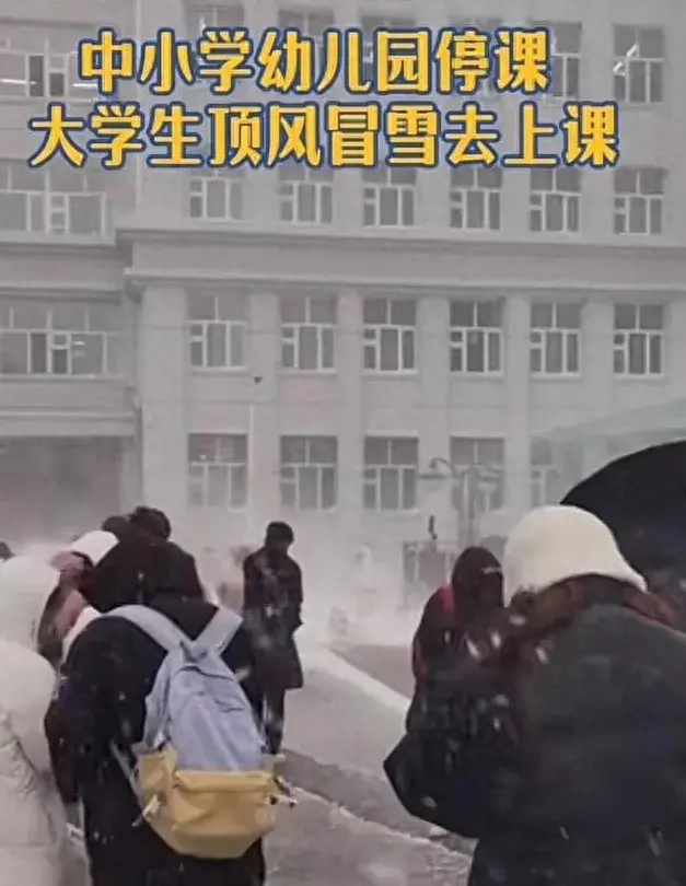 东北暴雪天出门堪比取经热_北方暴雪动视暴雪_从北方暴雪到动视暴雪