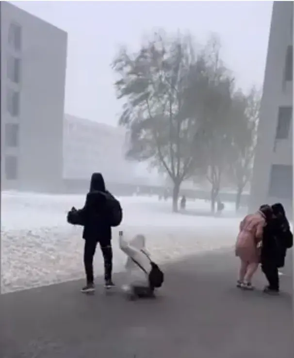 从北方暴雪到动视暴雪_北方暴雪动视暴雪_东北暴雪天出门堪比取经热