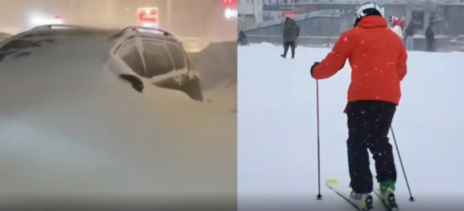 北方暴雪动视暴雪_从北方暴雪到动视暴雪_东北暴雪天出门堪比取经热