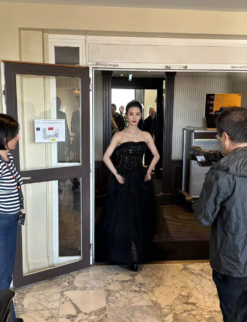 刘诗诗优雅黑天鹅_刘诗诗天鹅美背_天天向上刘诗诗优雅亮相