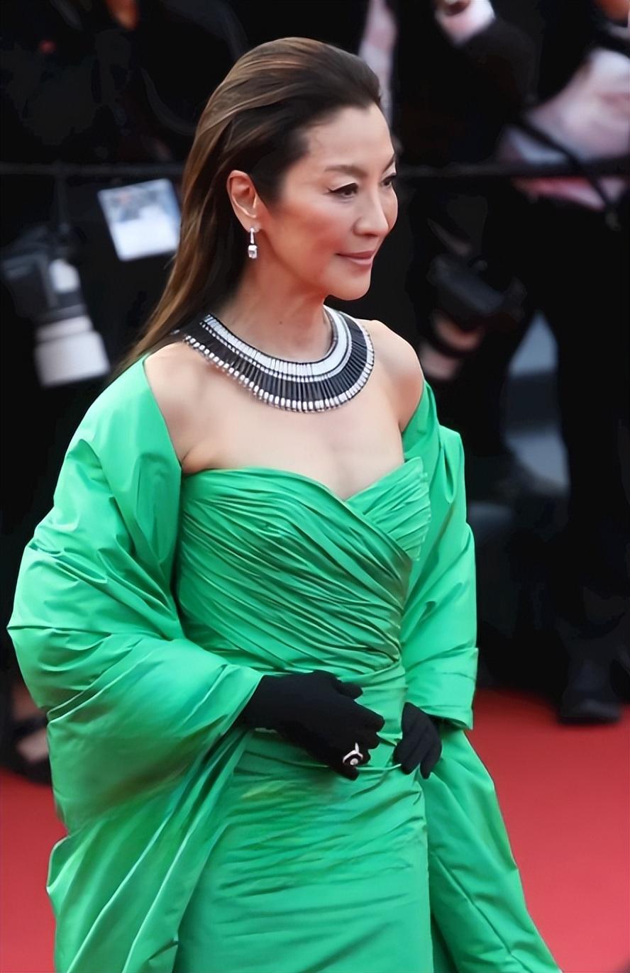 刘诗诗天鹅美背_天天向上刘诗诗优雅亮相_刘诗诗优雅黑天鹅