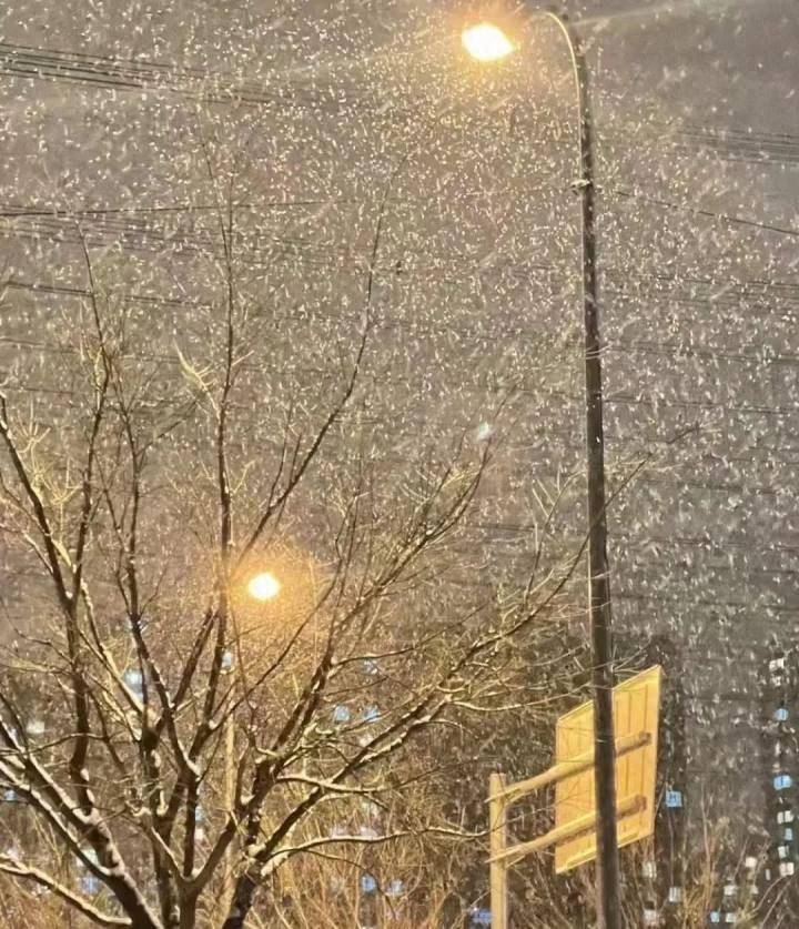 三预警齐发，东北强降雪进入最强时段！不少东北人民喜提“雪休”