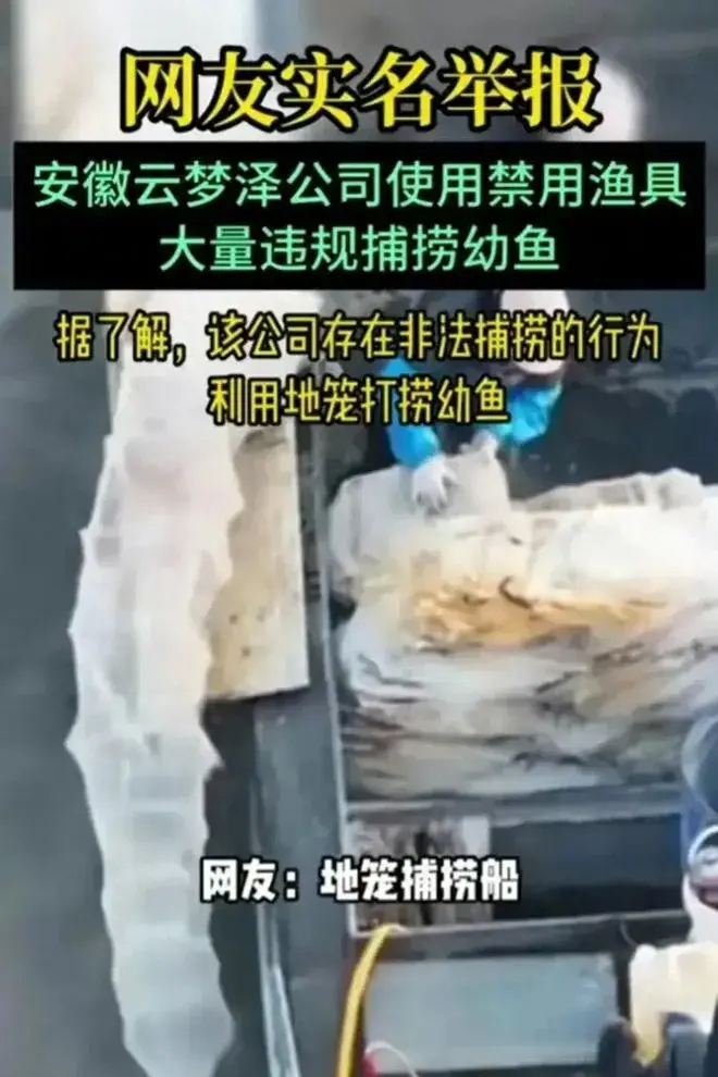 18安徽大湖大规模起捕却禁垂钓引争议_安徽禁钓期新规定2021_安徽禁钓鱼的规定