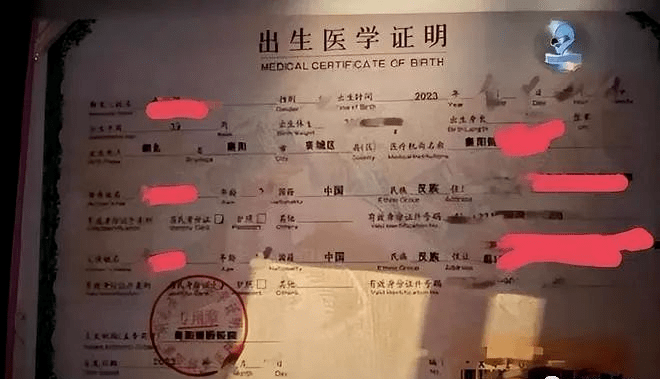 医院工资证明证明怎么开_蒋葆生原北京医院院长_医院院长倒卖出生证明每张赚6万