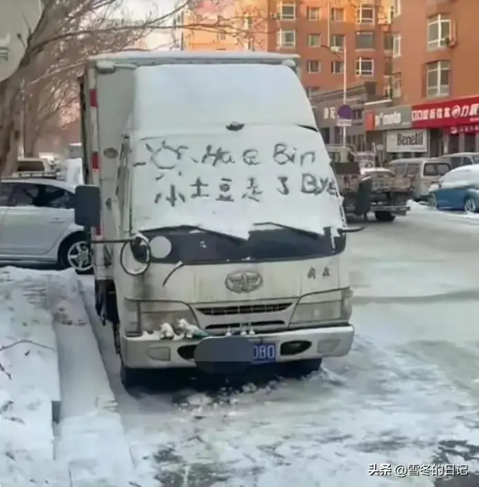 21“二埋汰”成东北虎里最红的仔_ne东北虎_东北虎虎子