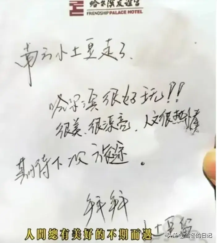 东北虎虎子_ne东北虎_21“二埋汰”成东北虎里最红的仔