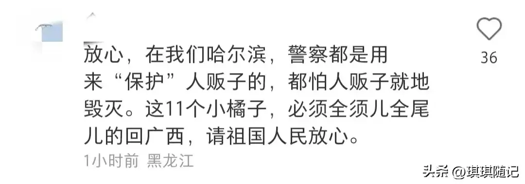 消防员人手一个“砂糖橘”热_消防员人手一个“砂糖橘”热_消防员人手一个“砂糖橘”热