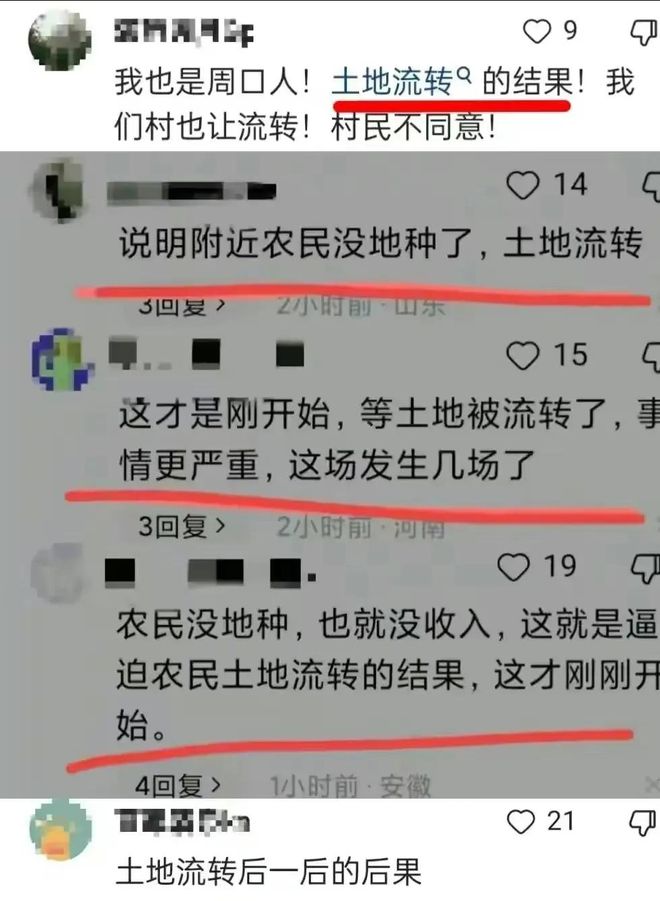 8村民哄抢芋头？谣言_谣言村民芋头哄抢视频_谣言村民芋头哄抢是真的吗