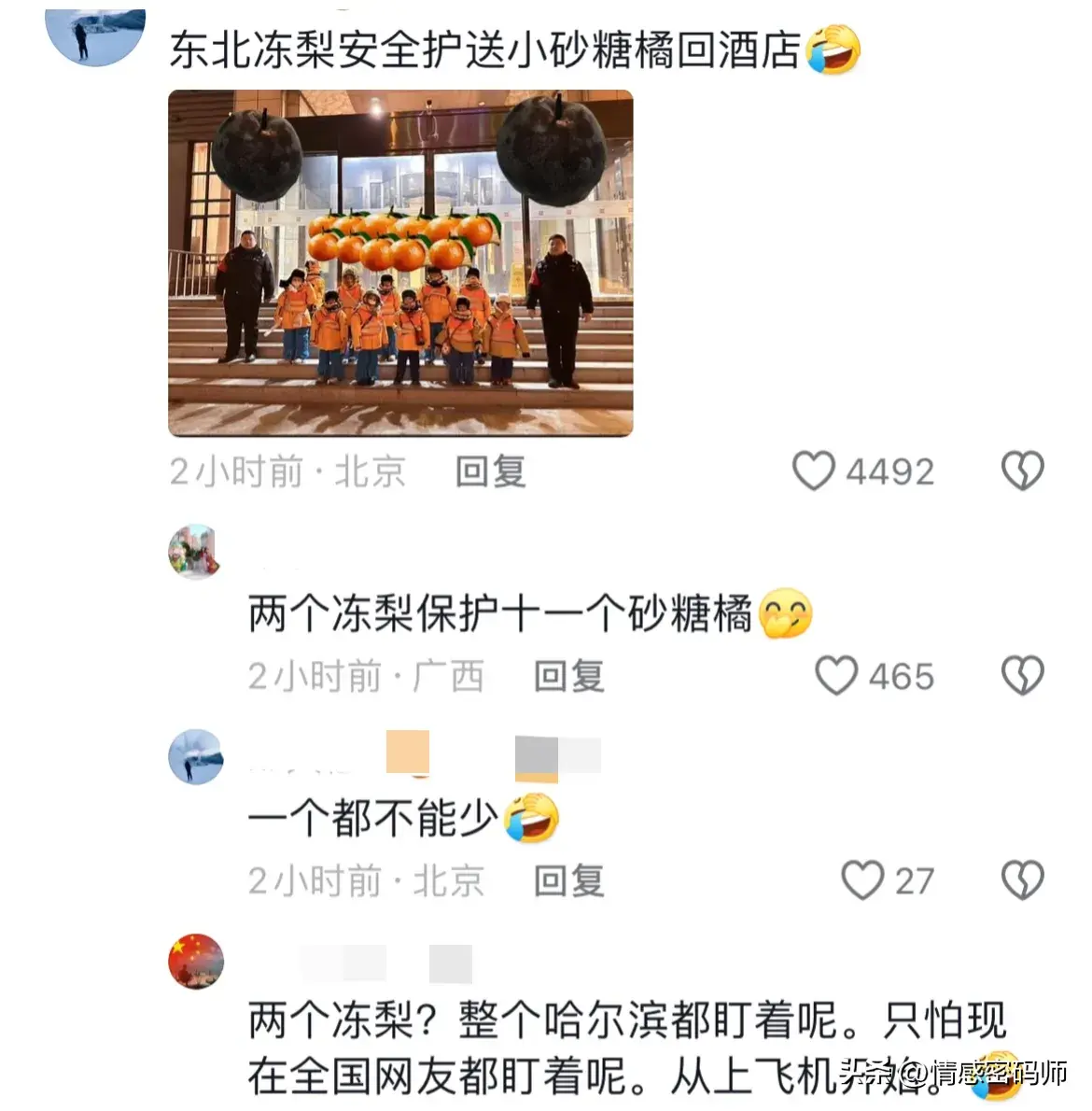 21“二埋汰”成东北虎里最红的仔_东北虎虎子_网红东北虎