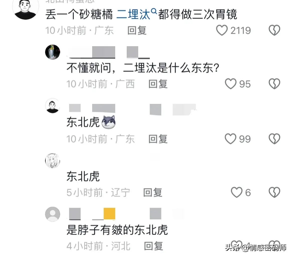 21“二埋汰”成东北虎里最红的仔_网红东北虎_东北虎虎子