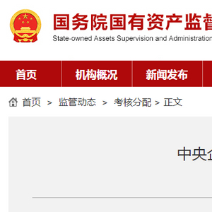 国资委央企任免_4国资委披露央企一把手工资条_国资委下属央企一把手什么级别