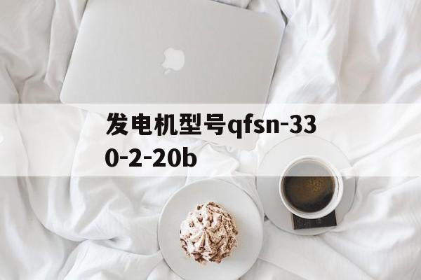 发电机型号qfsn330220B什么意思（发电机型号qfsn-330-2-20b）