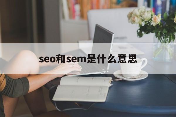 seo和sem是指什么意思（seo和sem是什么意思）