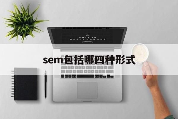 sem包括哪四种形式组织（sem包括哪四种形式）