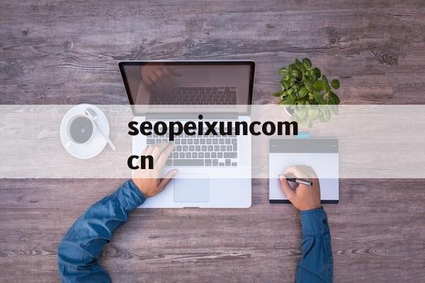 seopeixuncomcn的简单介绍