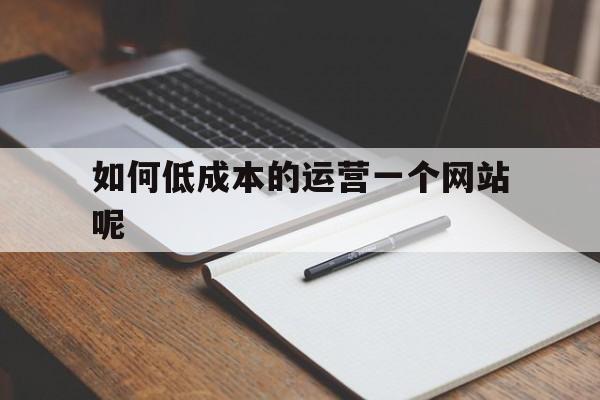 如何低成本的运营一个网站呢视频（如何低成本的运营一个网站呢）