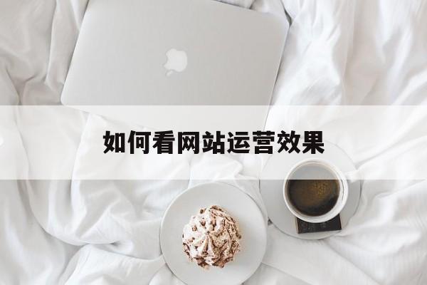 如何看网站运营效果图（如何看网站运营效果）