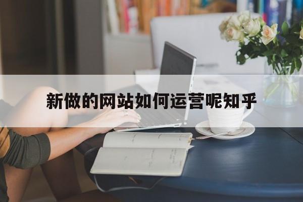 新做的网站如何运营呢知乎